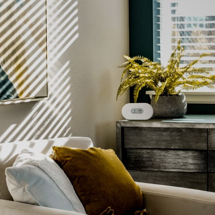 Airthings View Plus monitor sitting on a dresser in a sunlit Triangle living room