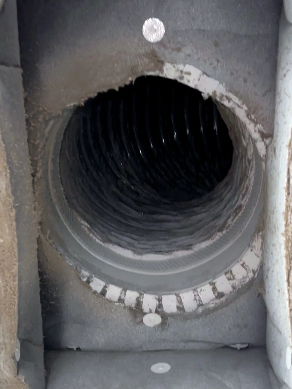 Inside a dirty flex duct
