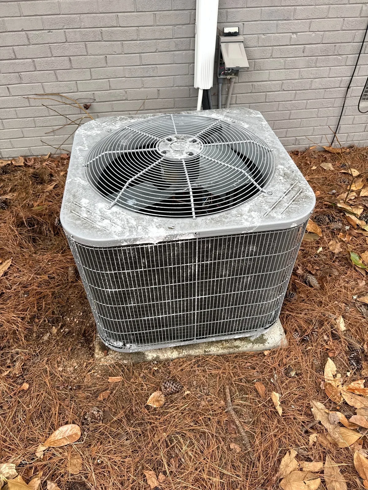 Condenser tune-up beside the home