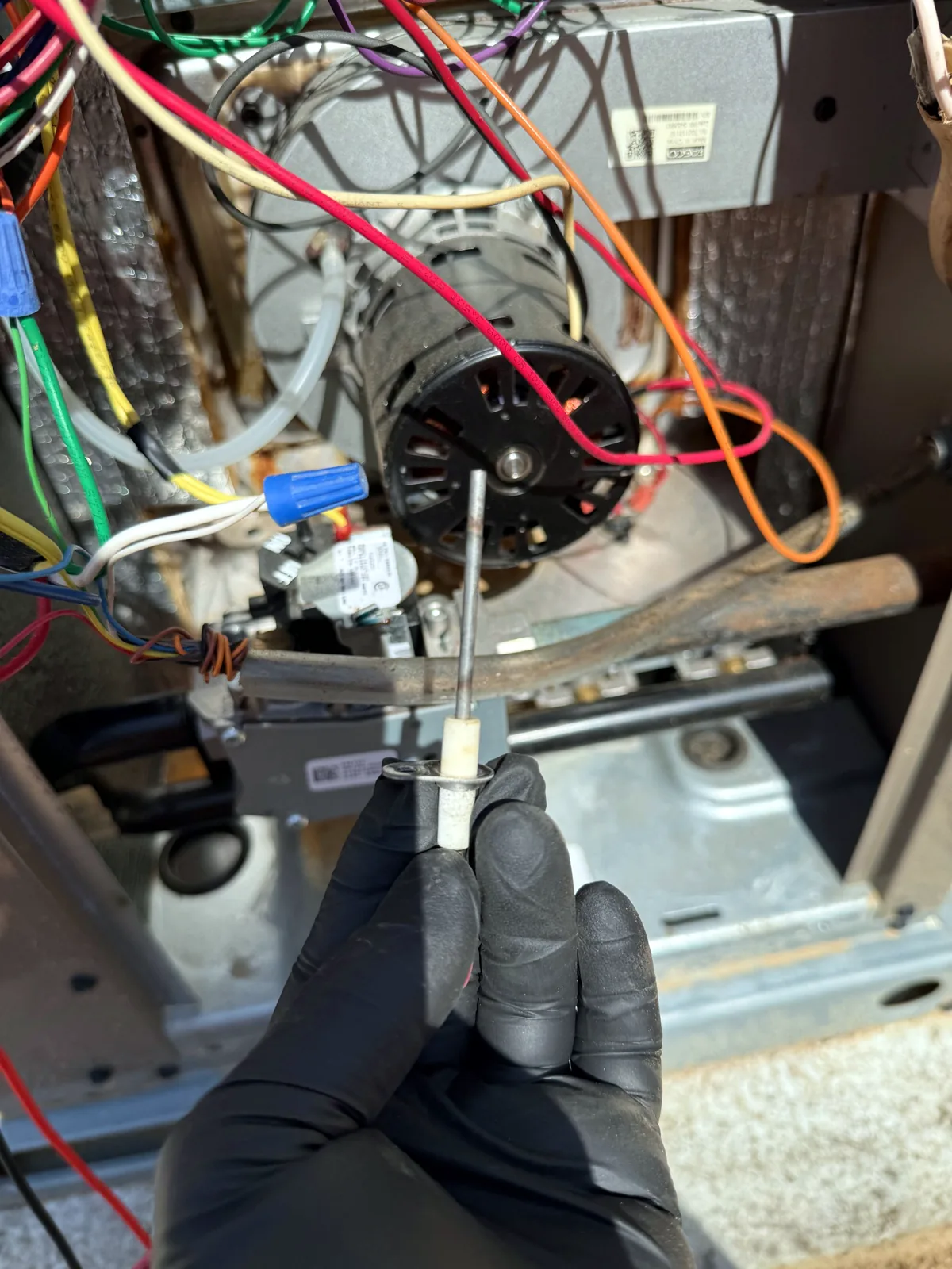 Fan motor service